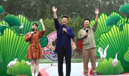 忻州美食爆料视频大全最新,揭秘忻州特色小吃，尽享地方风味盛宴